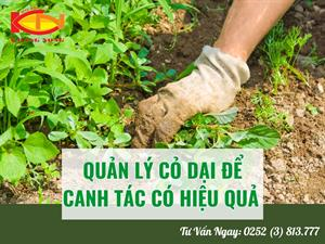 🌿 BIỆN PHÁP QUẢN LÝ CỎ DẠI HỢP LÝ ĐỂ CANH TÁC HIỆU QUẢ 🌿